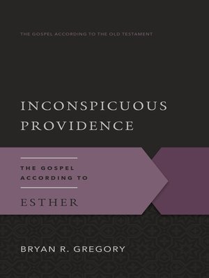 cover image of Inconspicuous Providence